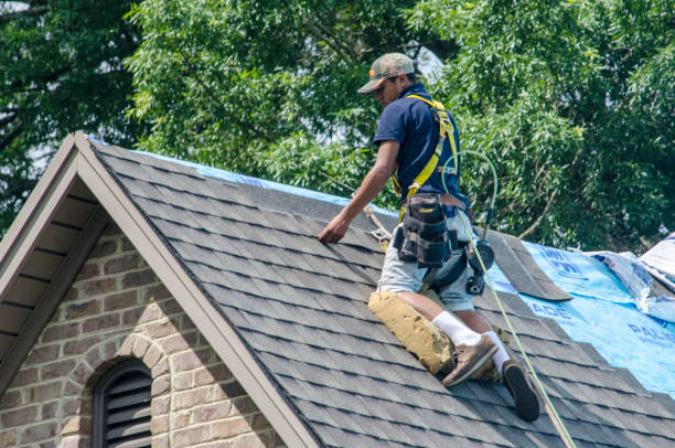 Best Storm Damage Roof Repair  in Hemlock Farms, PA